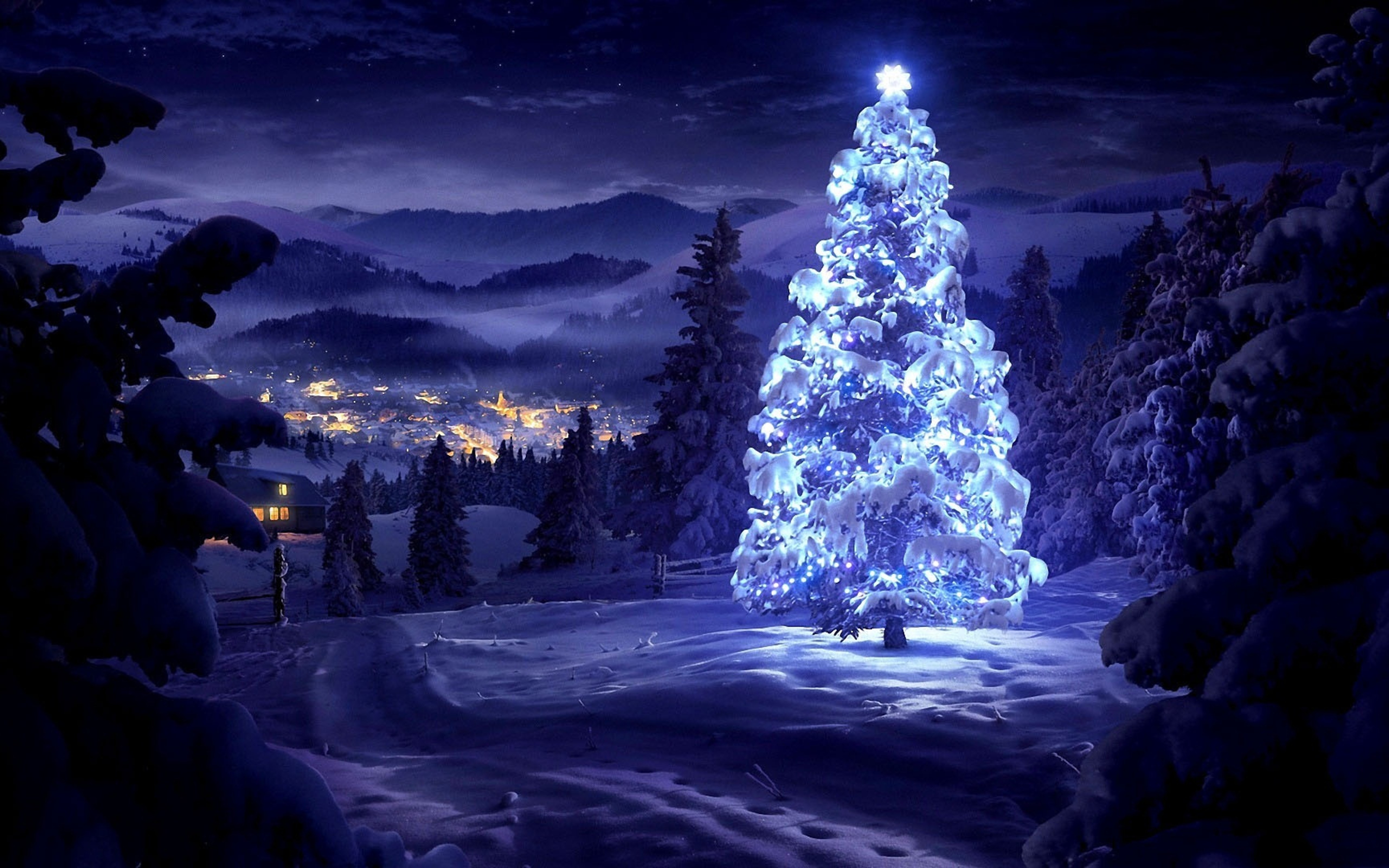 Wallpaper Download 1920x1080 Blue Christmas tree in the middle of