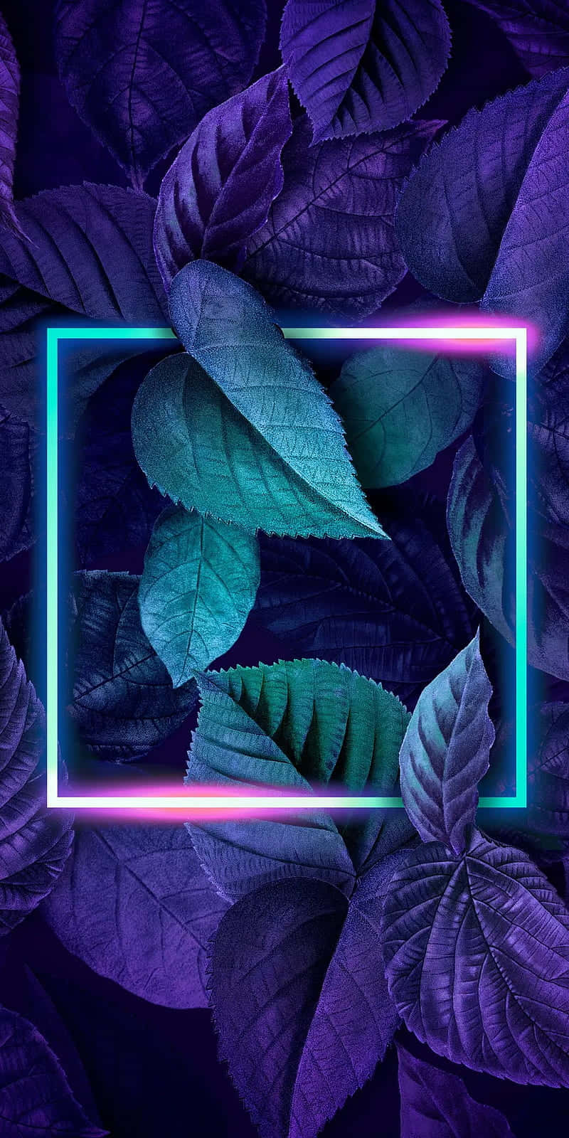 Neon Green And Purple Wallpaper