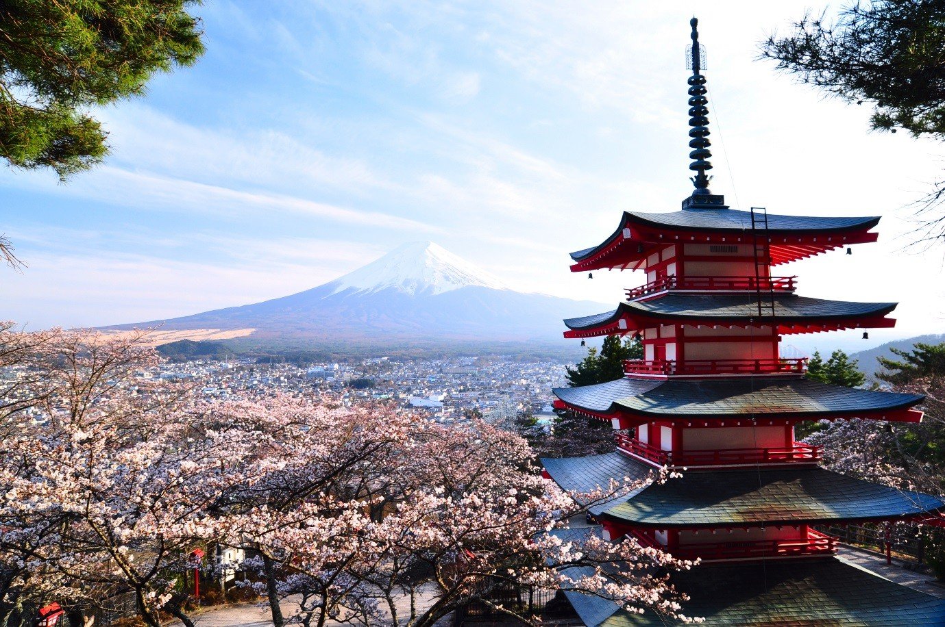 Japan Asian Architecture Mount Fuji Cherry Blossom HD