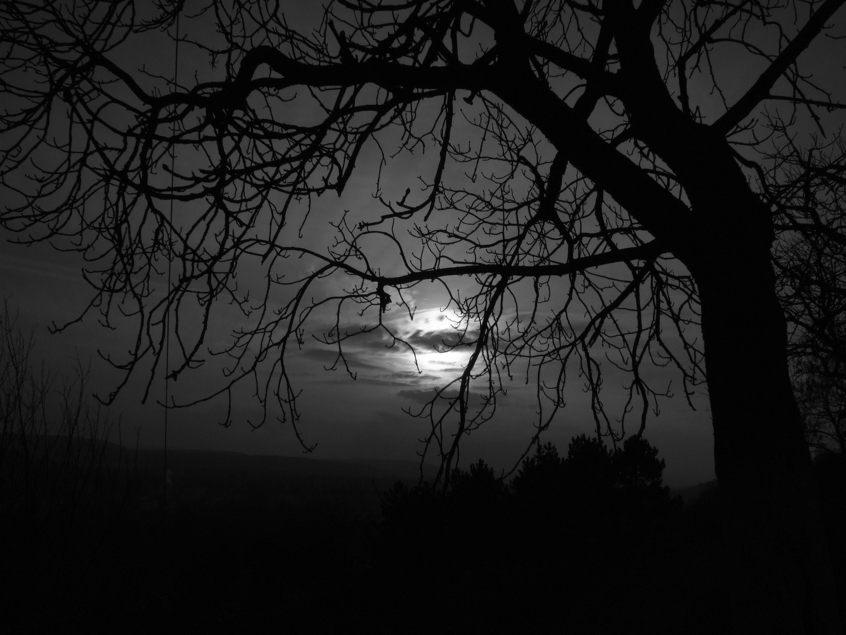 Dark Depressing Quotes Wallpaper