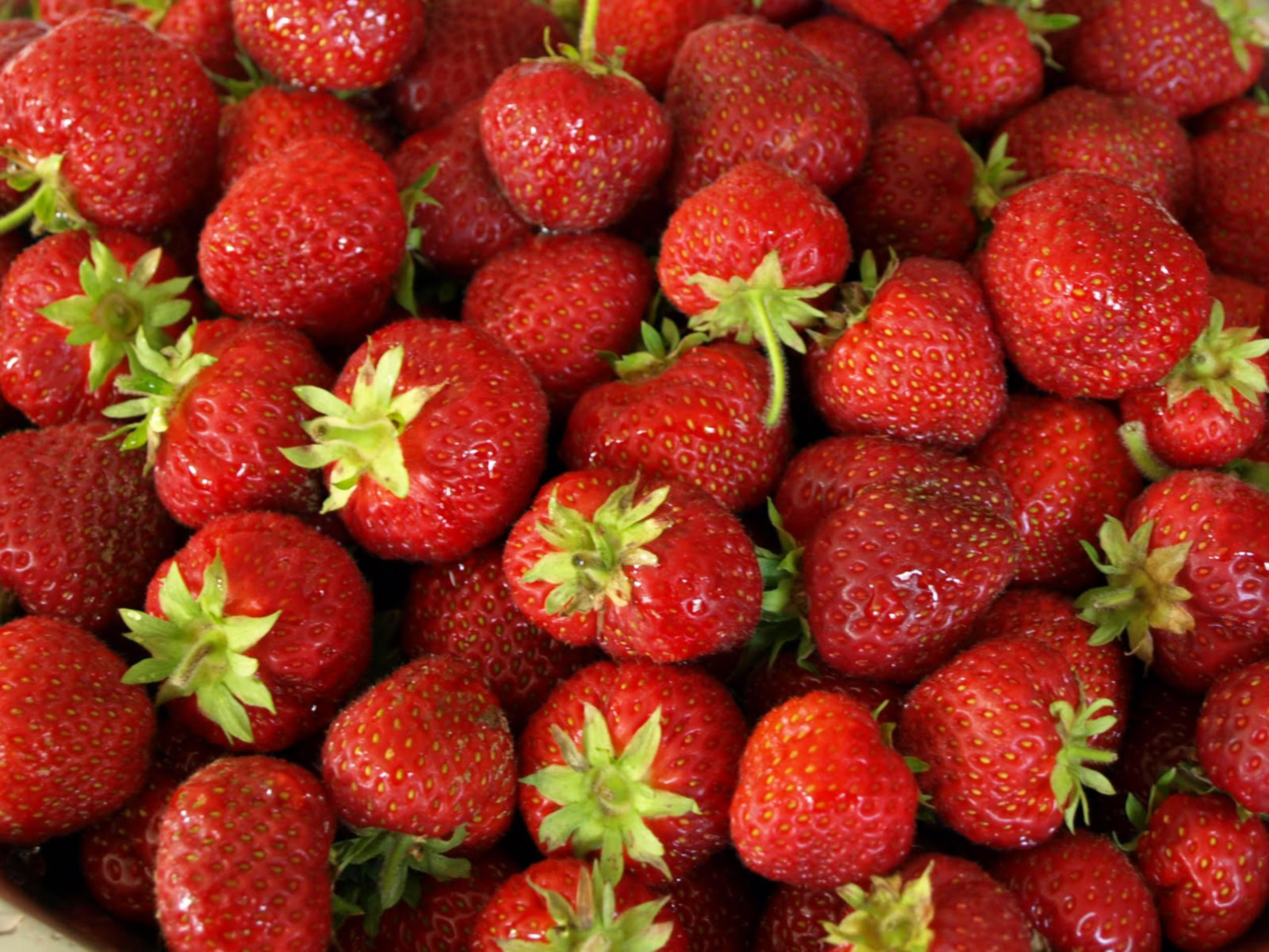 Strawberry Wallpaper