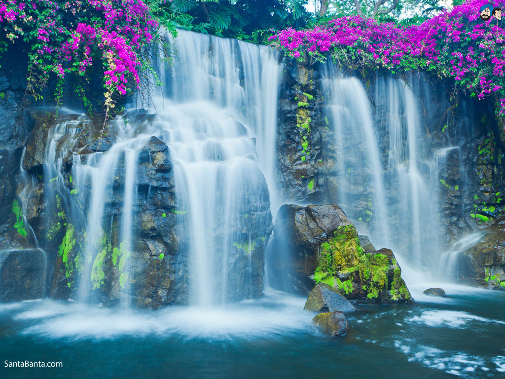 Beautiful Tropical Waterfalls Quotes