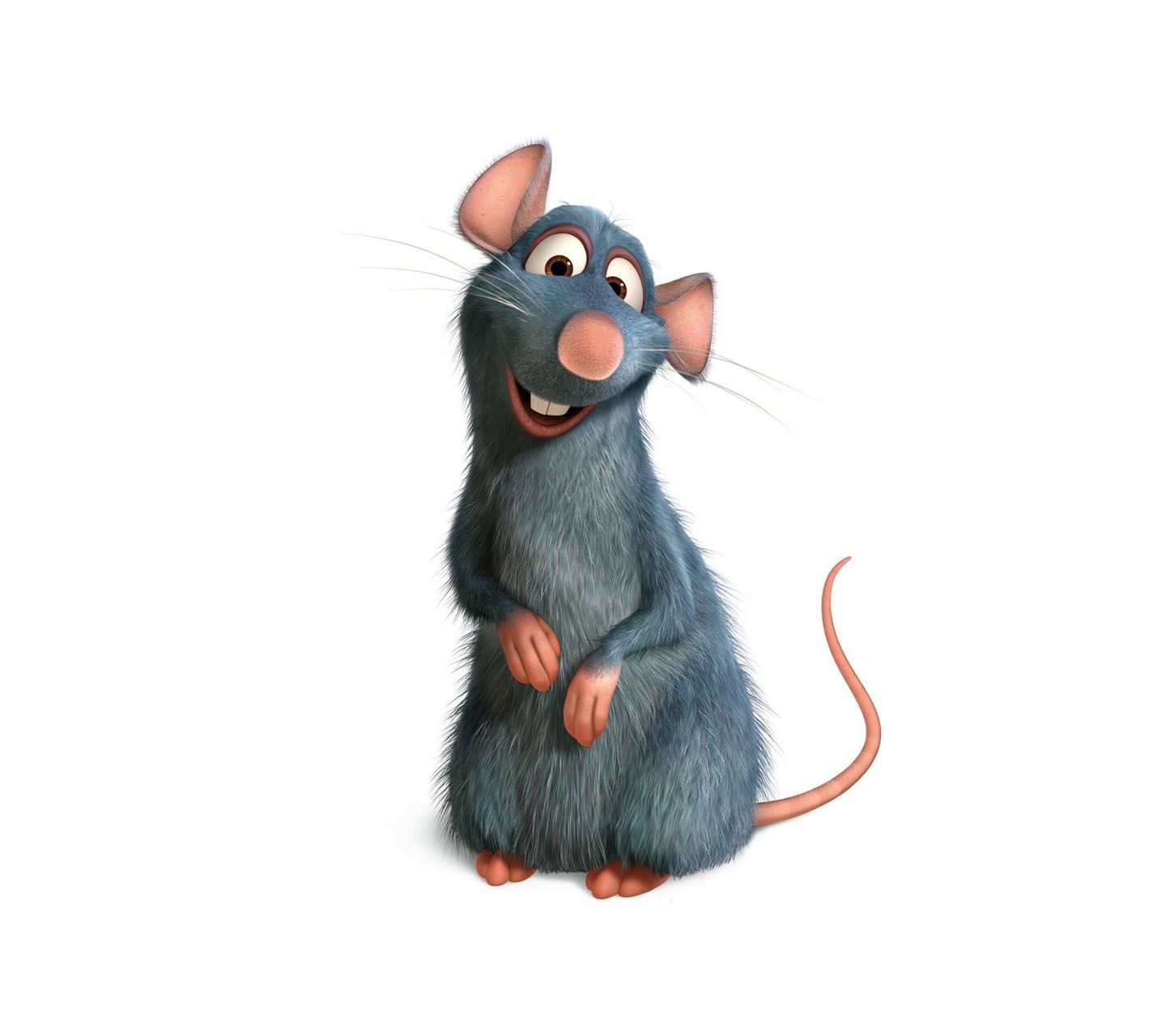 Remy Ratatouille Wallpaper Resim Disney
