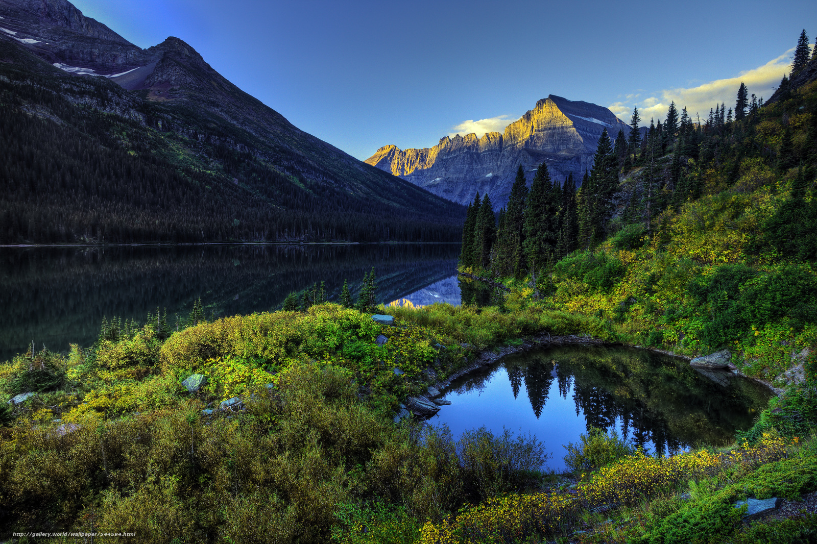 Wallpaper Glacier National Park Lake Mountains Trees Desktop