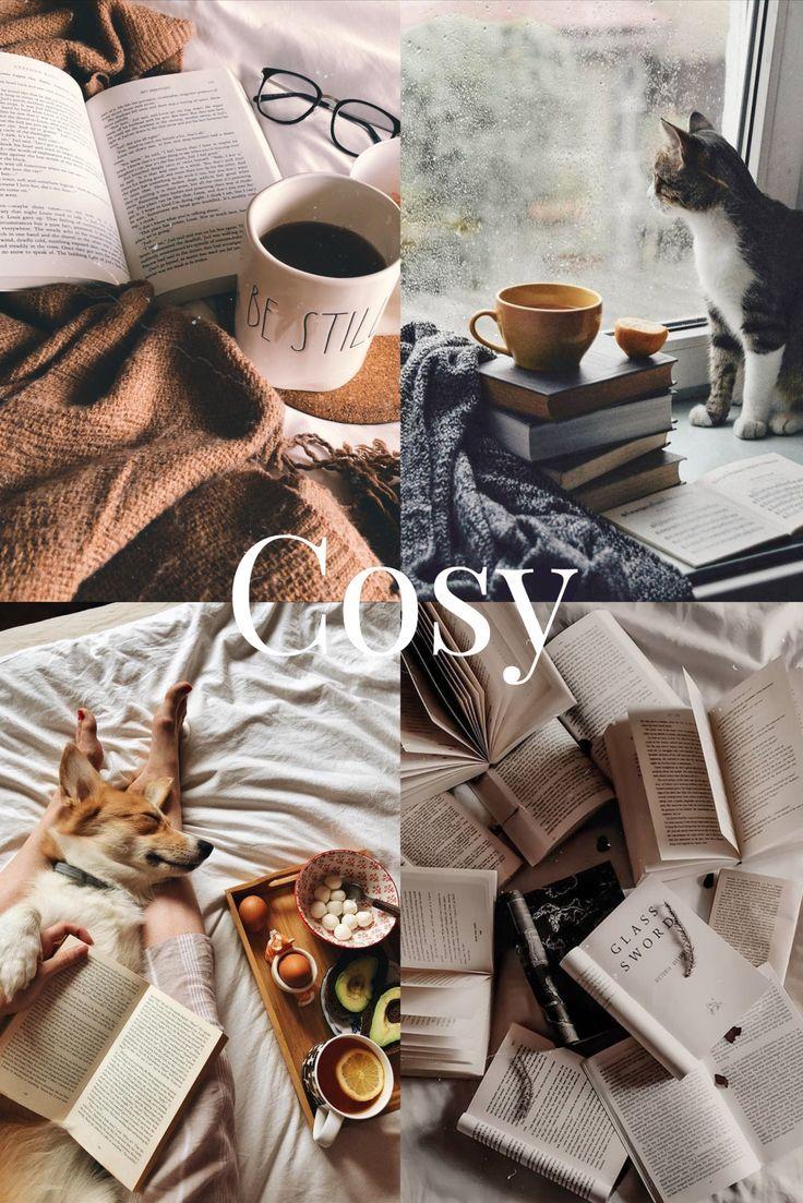 Autumn Collage Aesthetic Wallpaper Mood Cosy I Take You