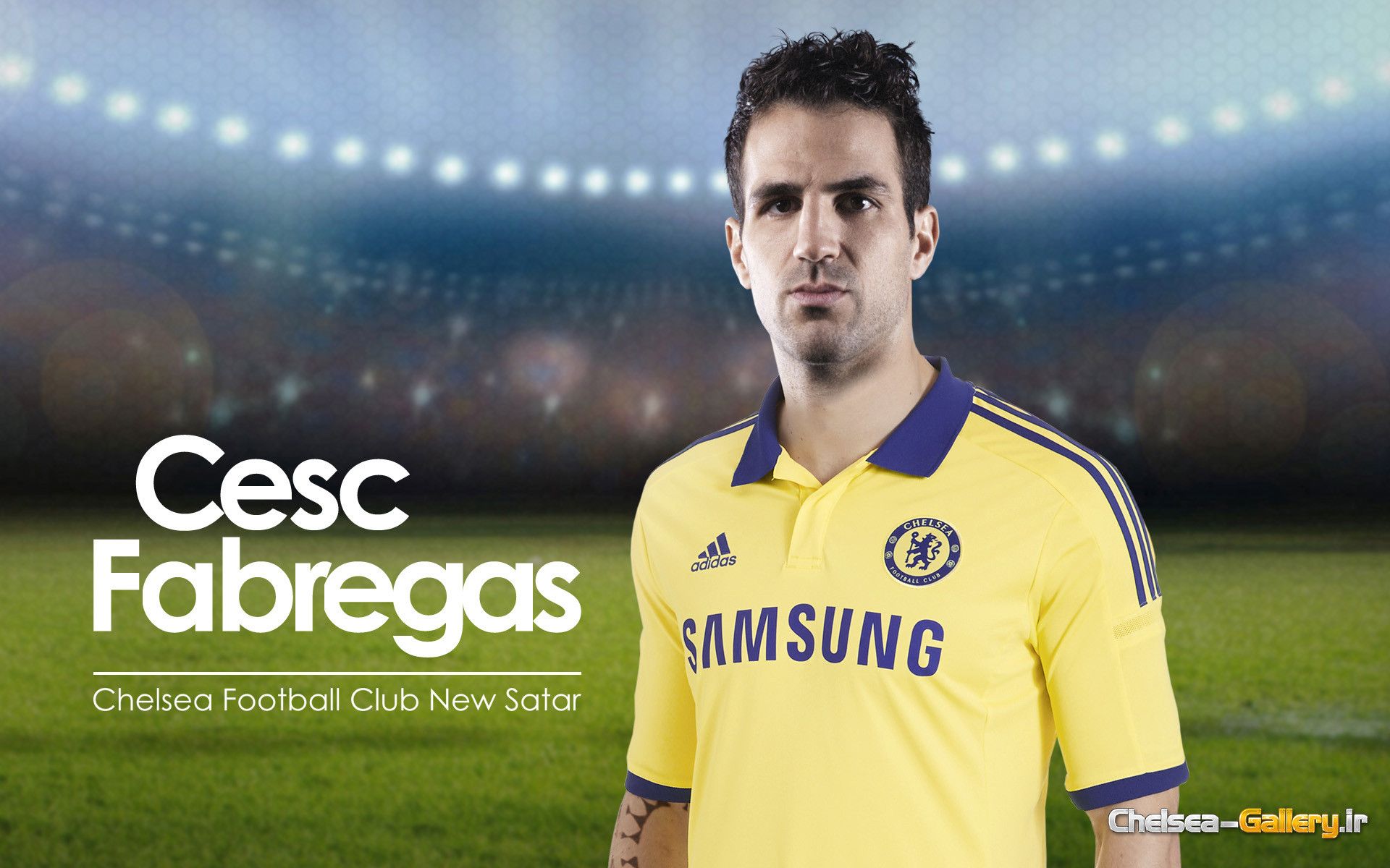 Cesc Fabregas Chelsea New Player Wallpaper HD Football