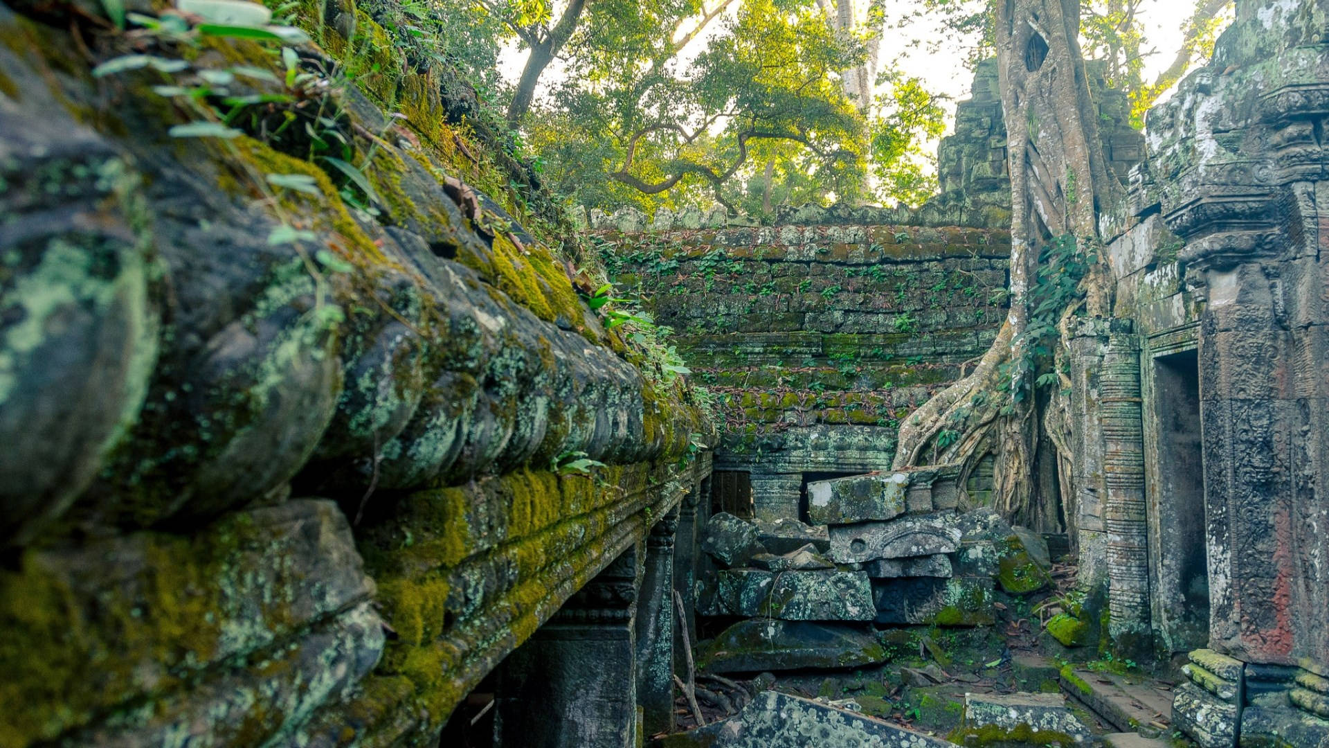 Angkor Wat Wallpaper
