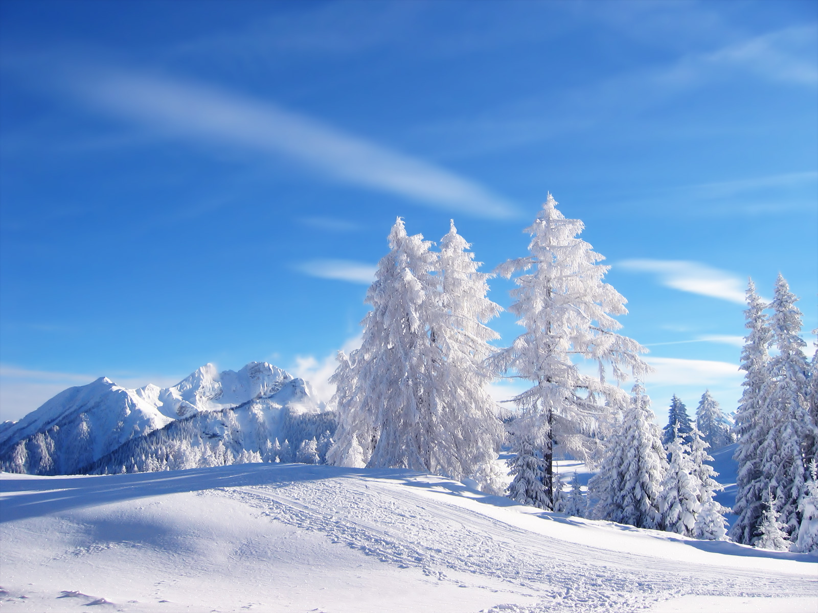 A breathtaking winter landscape with snow-covered trees and mountains under a clear blue sky
