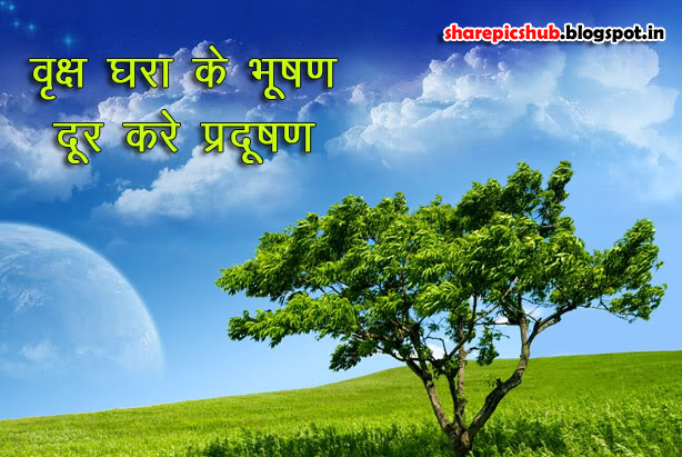 Save Tree Quote in Hindi Poster Save Tree Slogans in Hindi Wallpaper