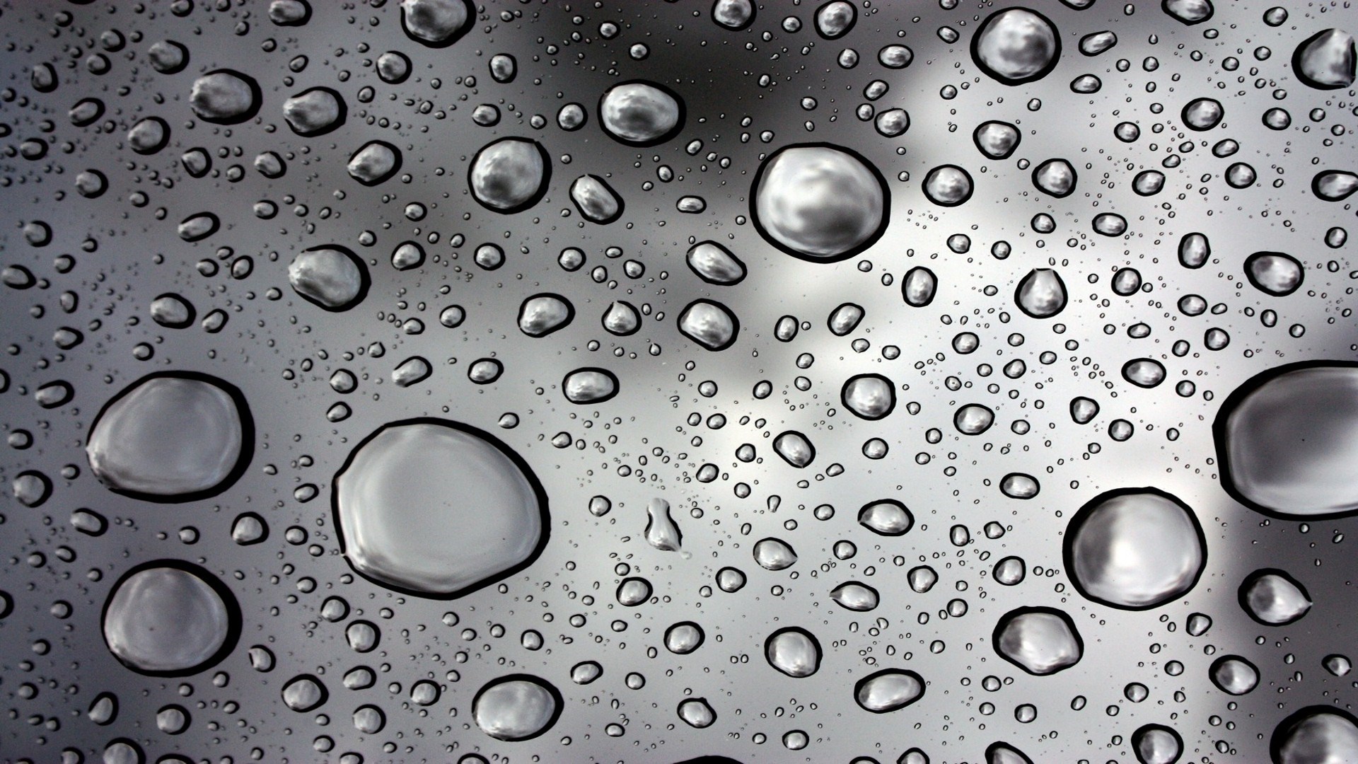 Rain Water Droplets Wallpaper