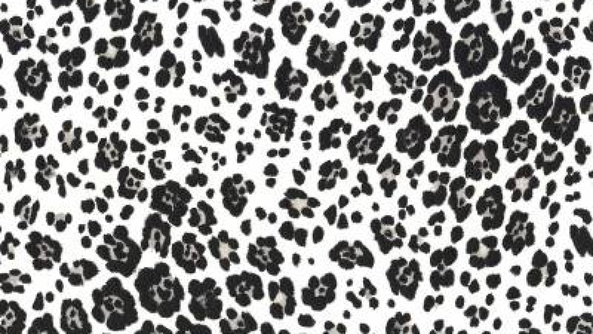 Leopard Print Wallpaper HD