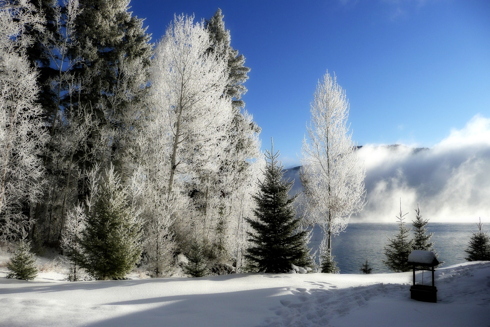 HD Winter Sunny Cold Wallpapers Downloads hdwallpaperdesigncom