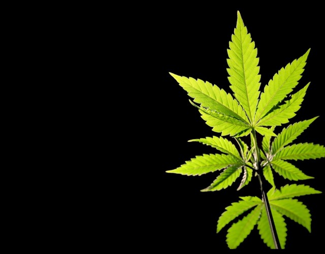 Marihuana Wallpaper HD Weed