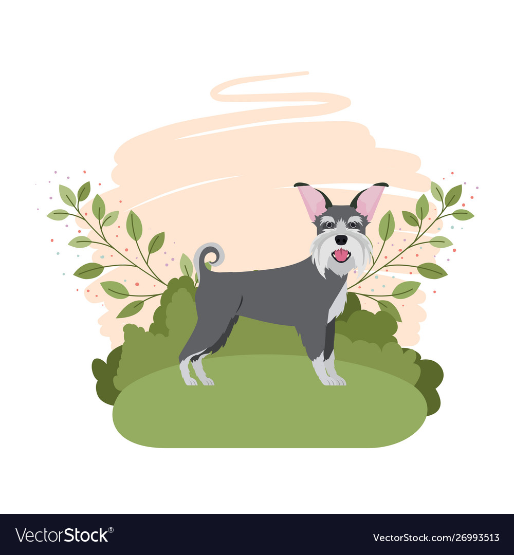 Free download Cute schnauzer dog with background landscape Vector Image