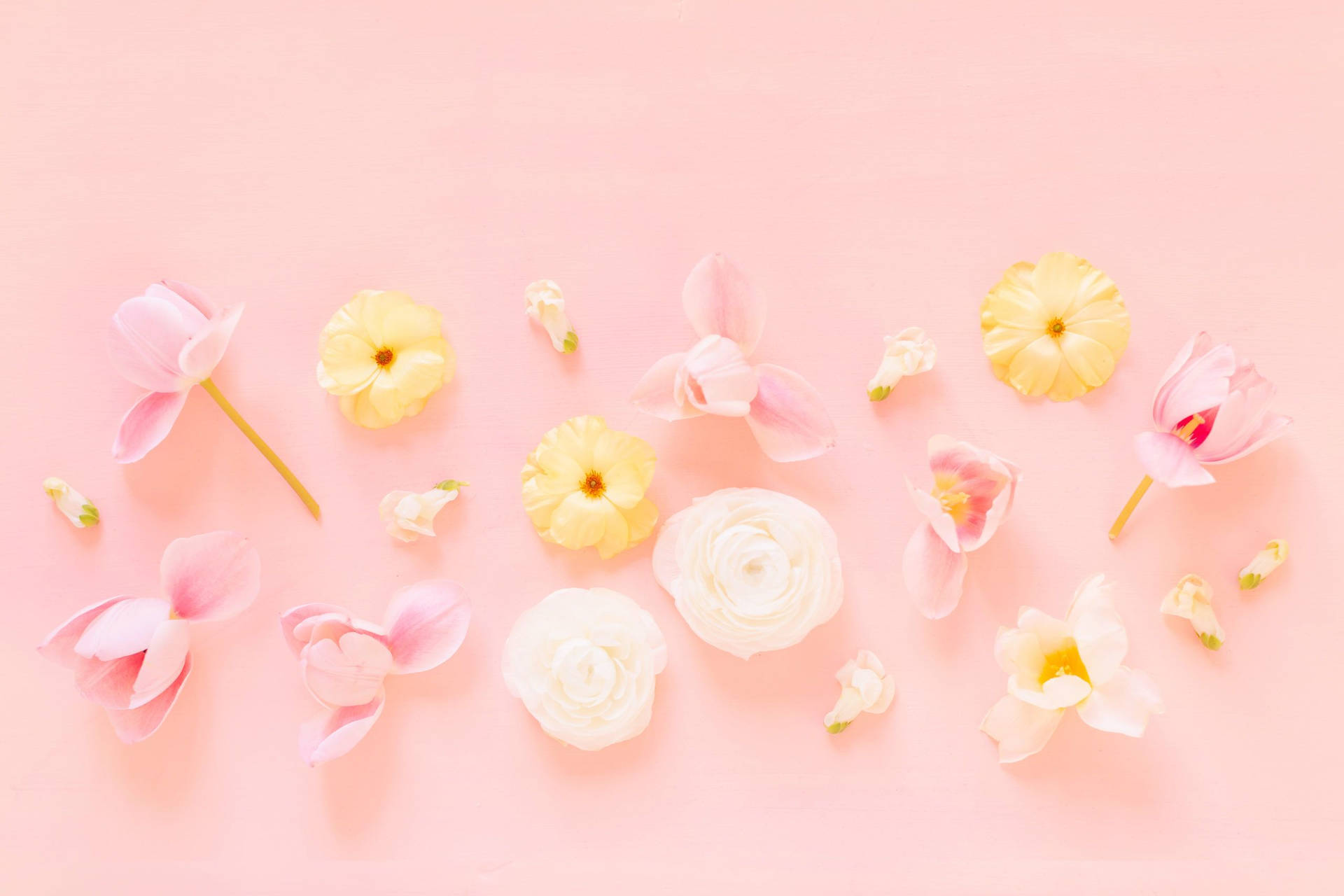 Pastel Aesthetic Wallpaper