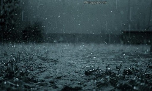 Appszoom Android Wallpaper Rainy Day Html