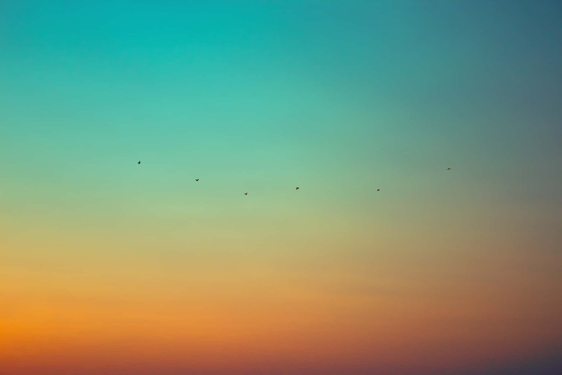 Orange And Teal Wallpaper