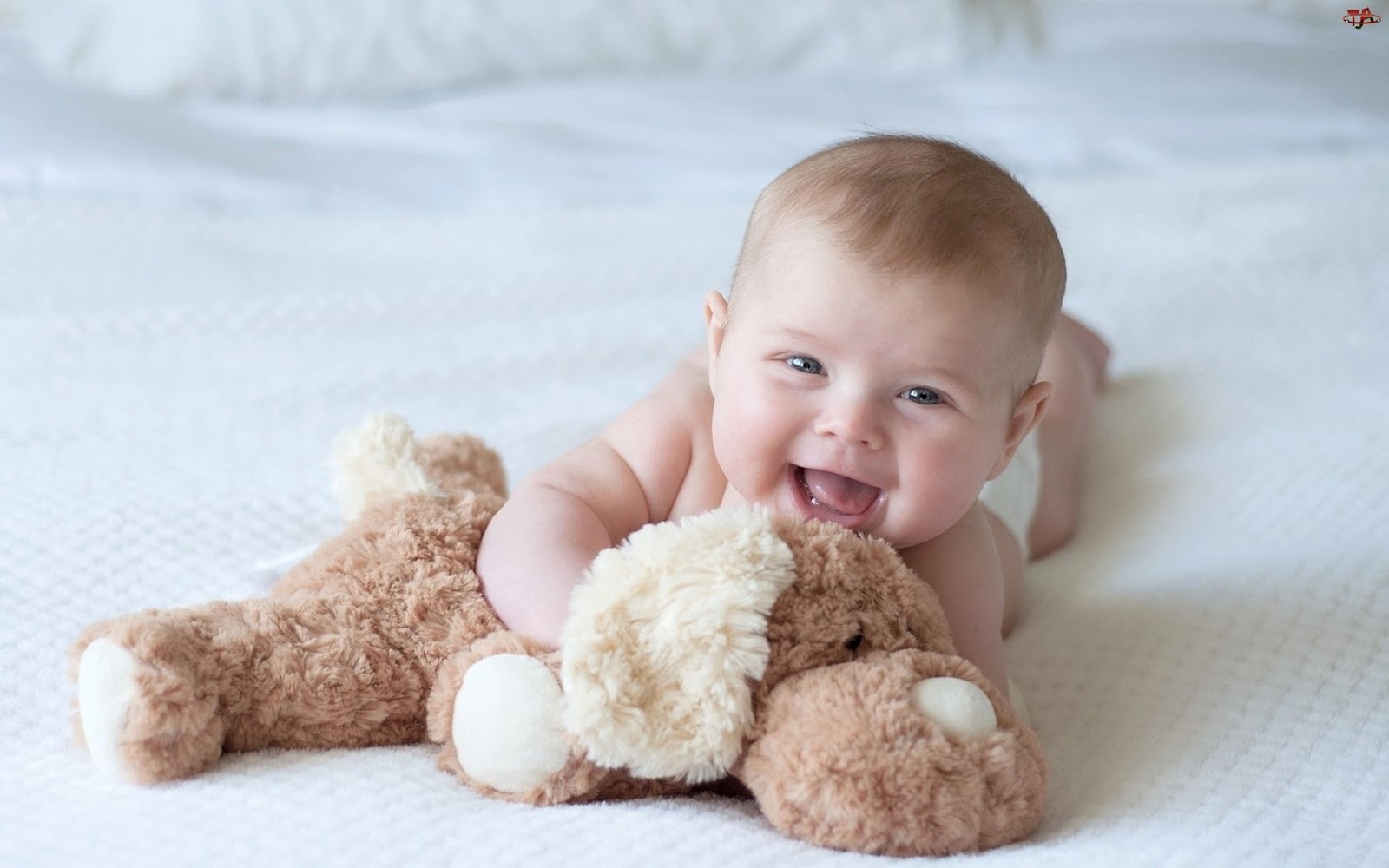 Baby Boy Playing With Toy HD Wallpaper Cute Little Babies