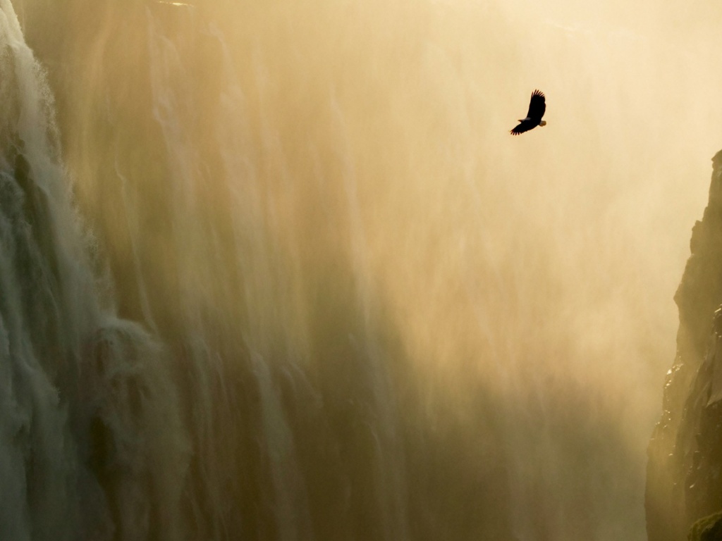 Net Mac Os X Eagle Waterfall Html