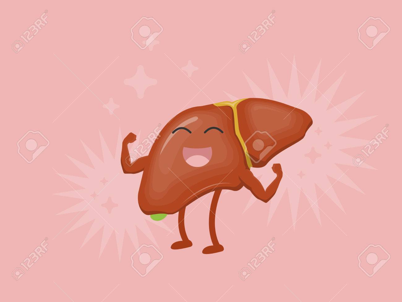 Vector Cartoon Strong Liver With Healthy Effect On Pink Background