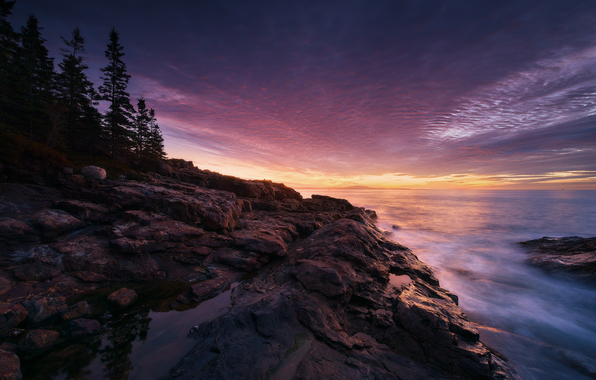  maine usa coast sunset tree rock wallpapers photos pictures