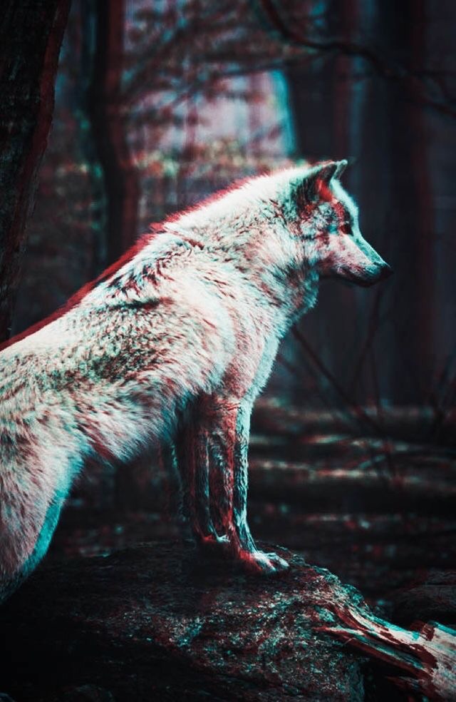 3d Background Cool Wolf iPhone