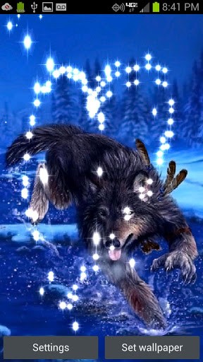 Bigger Native Wolf Live Wallpaper For Android Screenshot