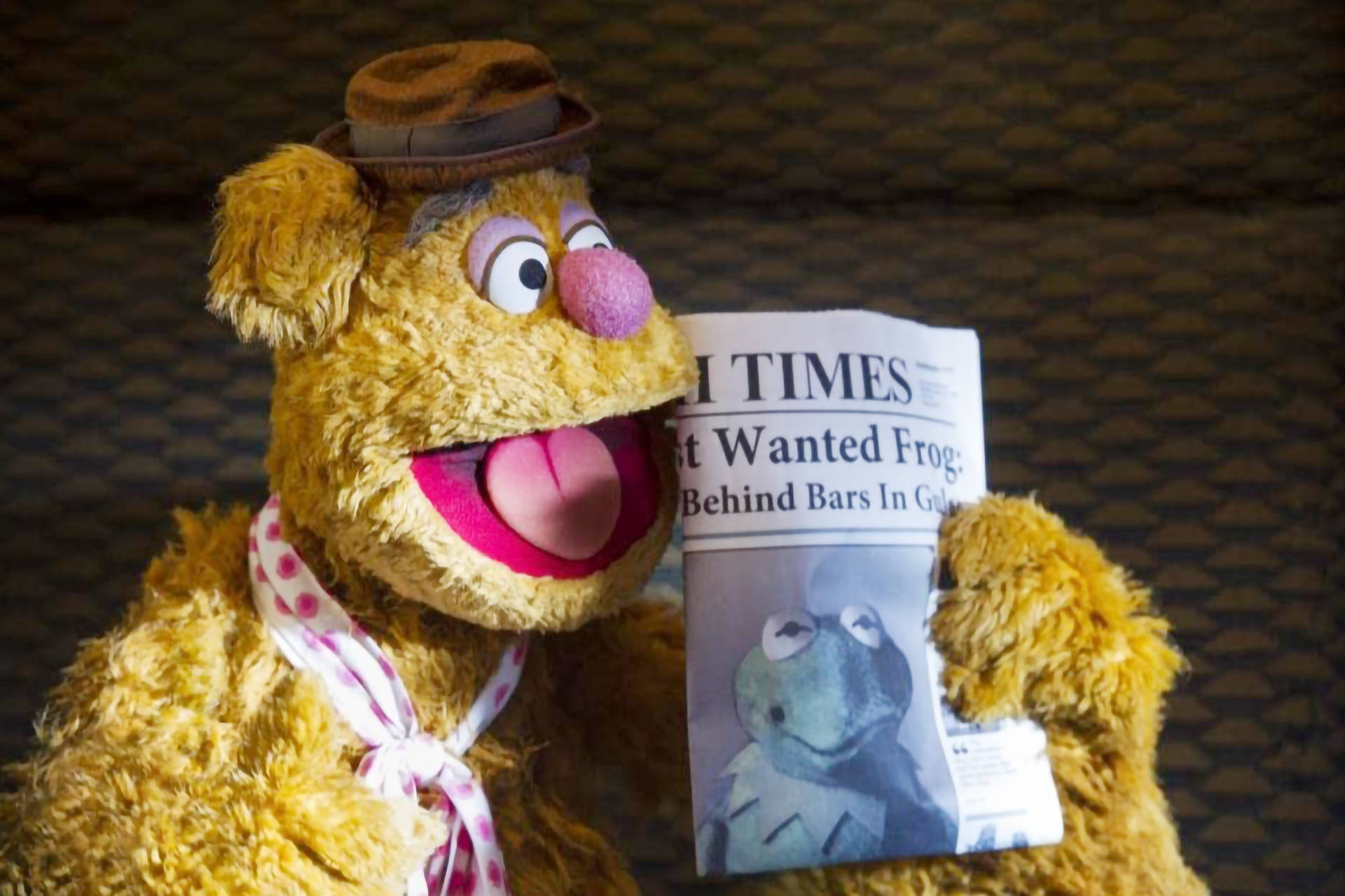 Top Muppets Most Wanted Wallpaper Full HD 4k To Use