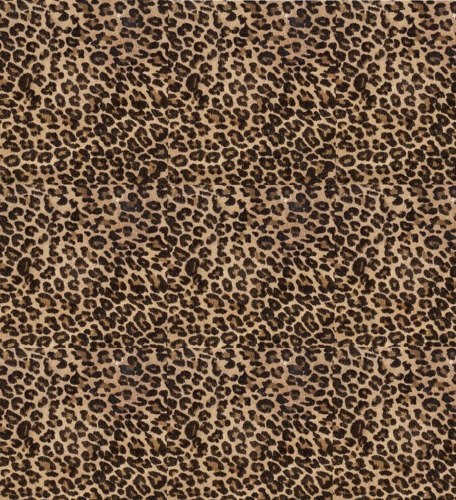 Cheetah Print Graphics Code Cheetah Print Comments Pictures