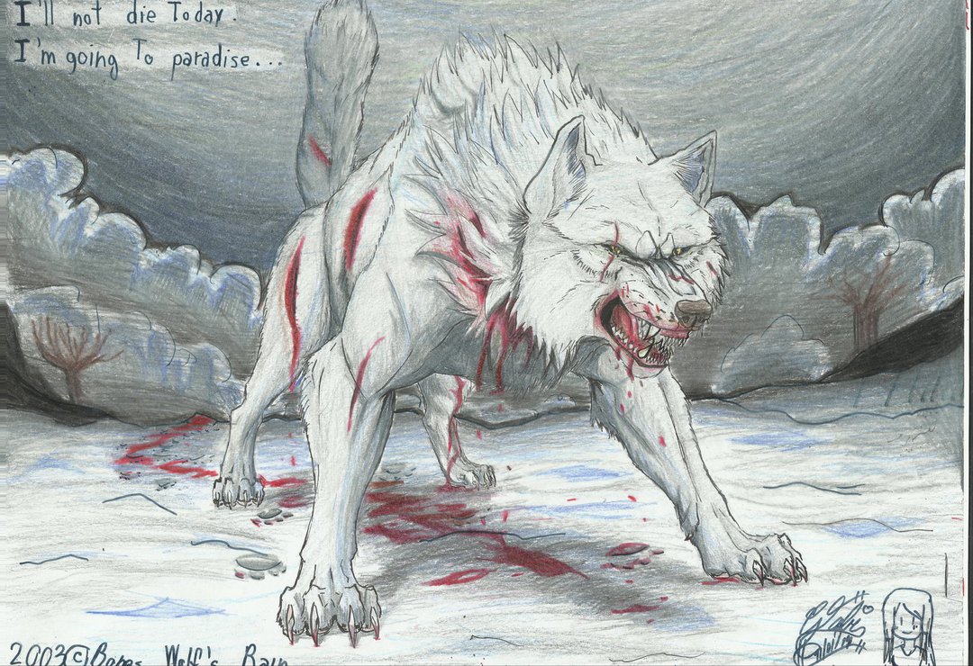 Kiba Wolfs Rain Wallpaper Wolf S By