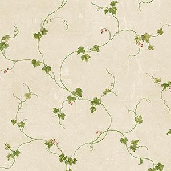 Ivy Vine Wallpaper Warehouse