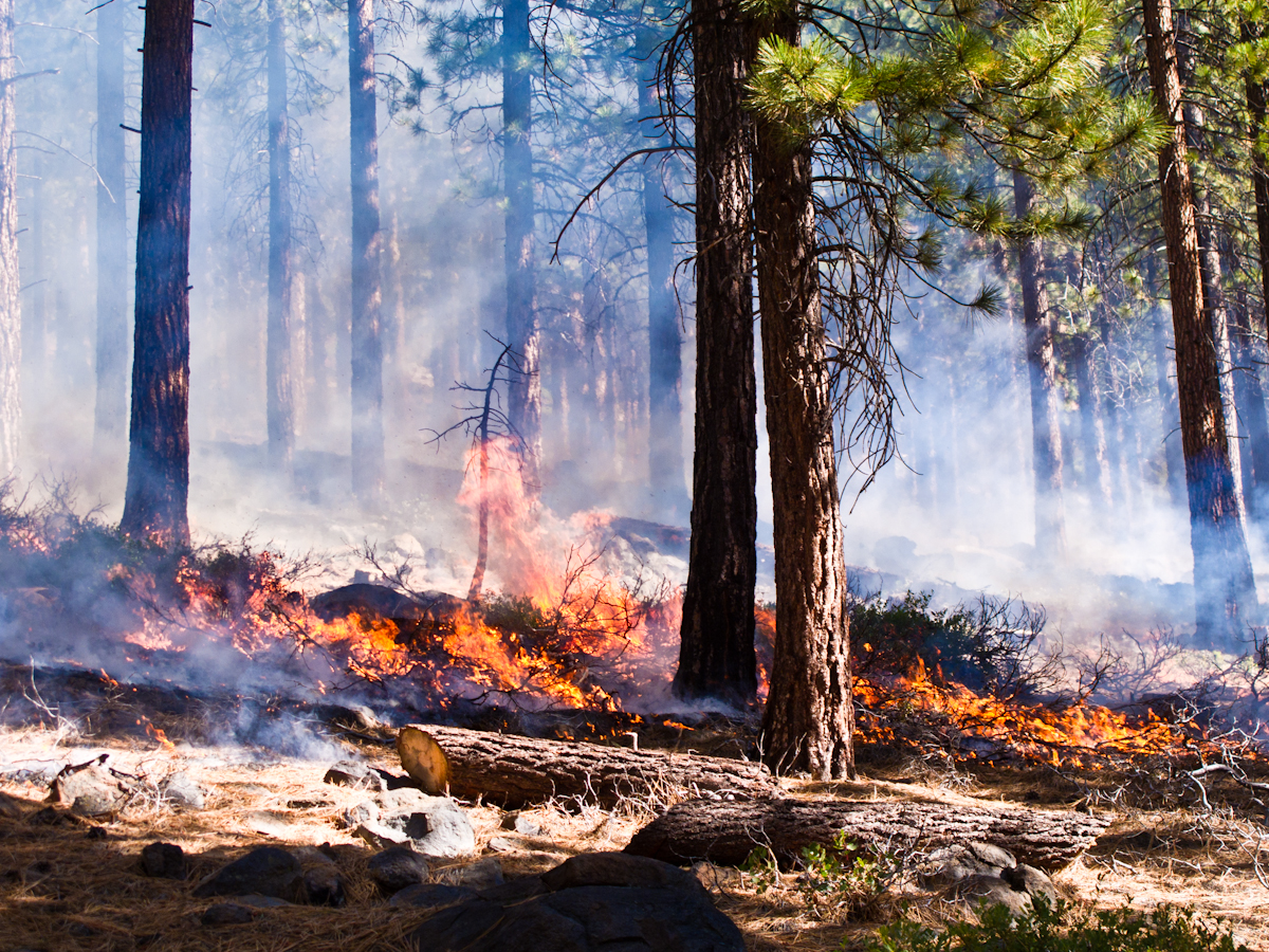 Understanding Fire Wallpaper
