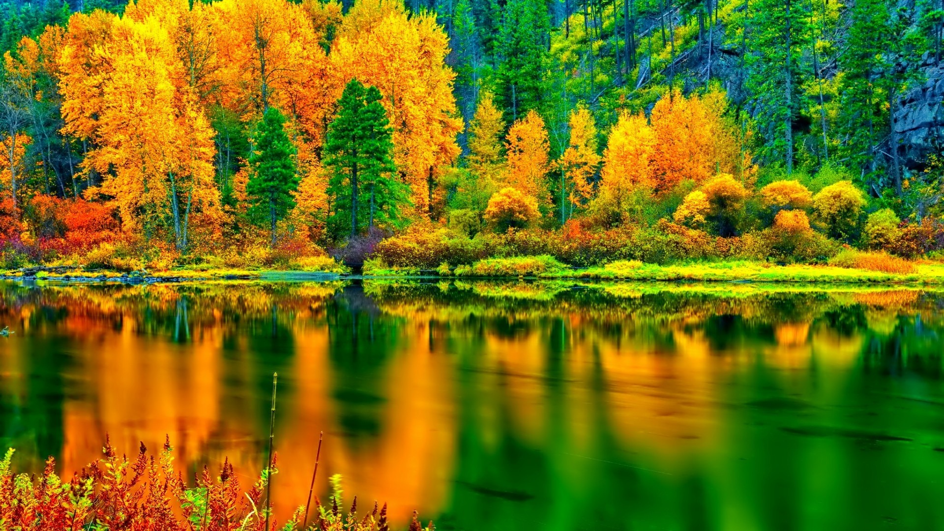 Autumn Landscape Wallpaper