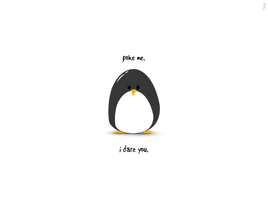 Background Penguin Wallpaper Penguins Funny