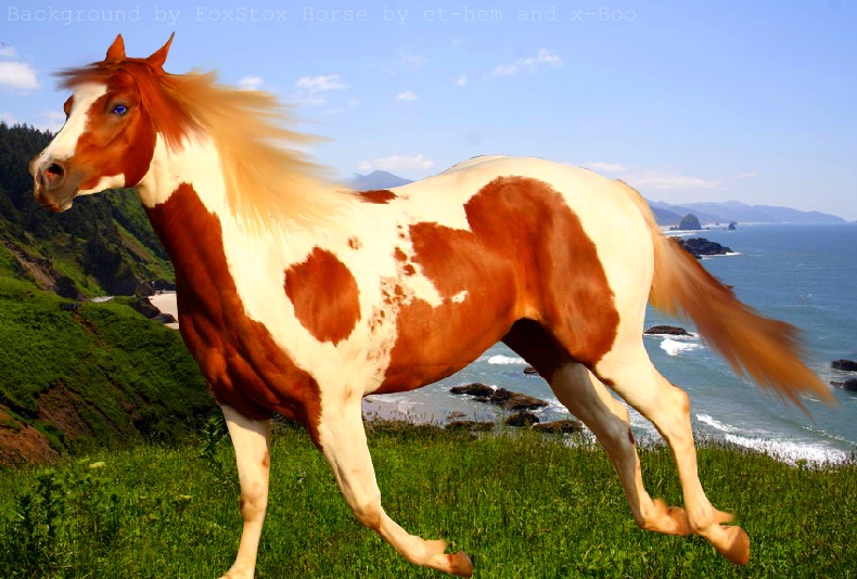 Paint Horses Wallpaper Horse Manipulation By