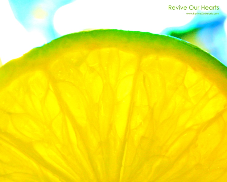 Lemon Love Summer Desktop Wallpaper Find More At