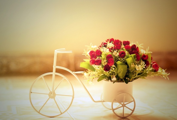 Wallpaper Flower Rose Bike Vase Bouquet Desktop Other