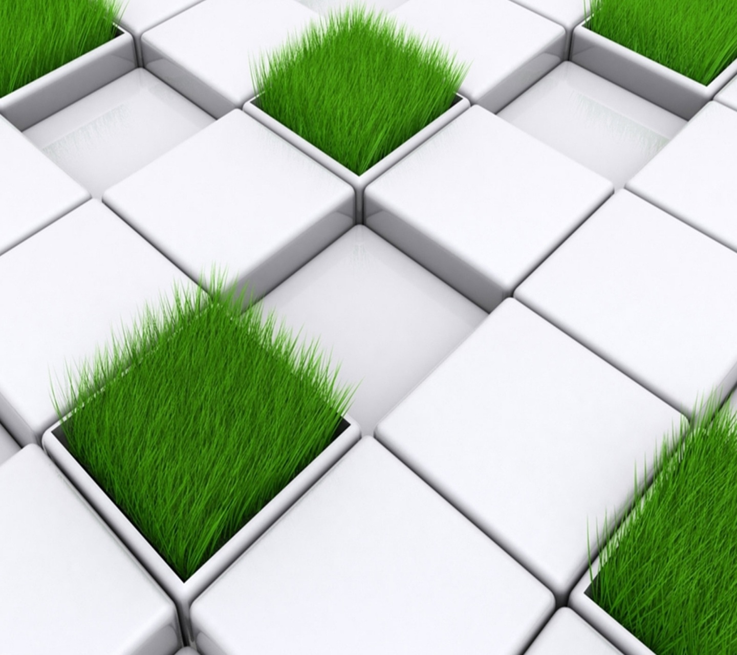 Tags Cube Grass Design Wallpaper1440x1280 Wallpaper