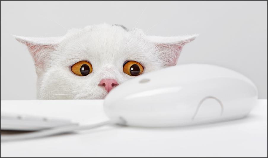 Post Subject Best Wallpaper Of The Day
