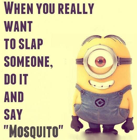 Minions Quotes Image For Whatsapp Dp