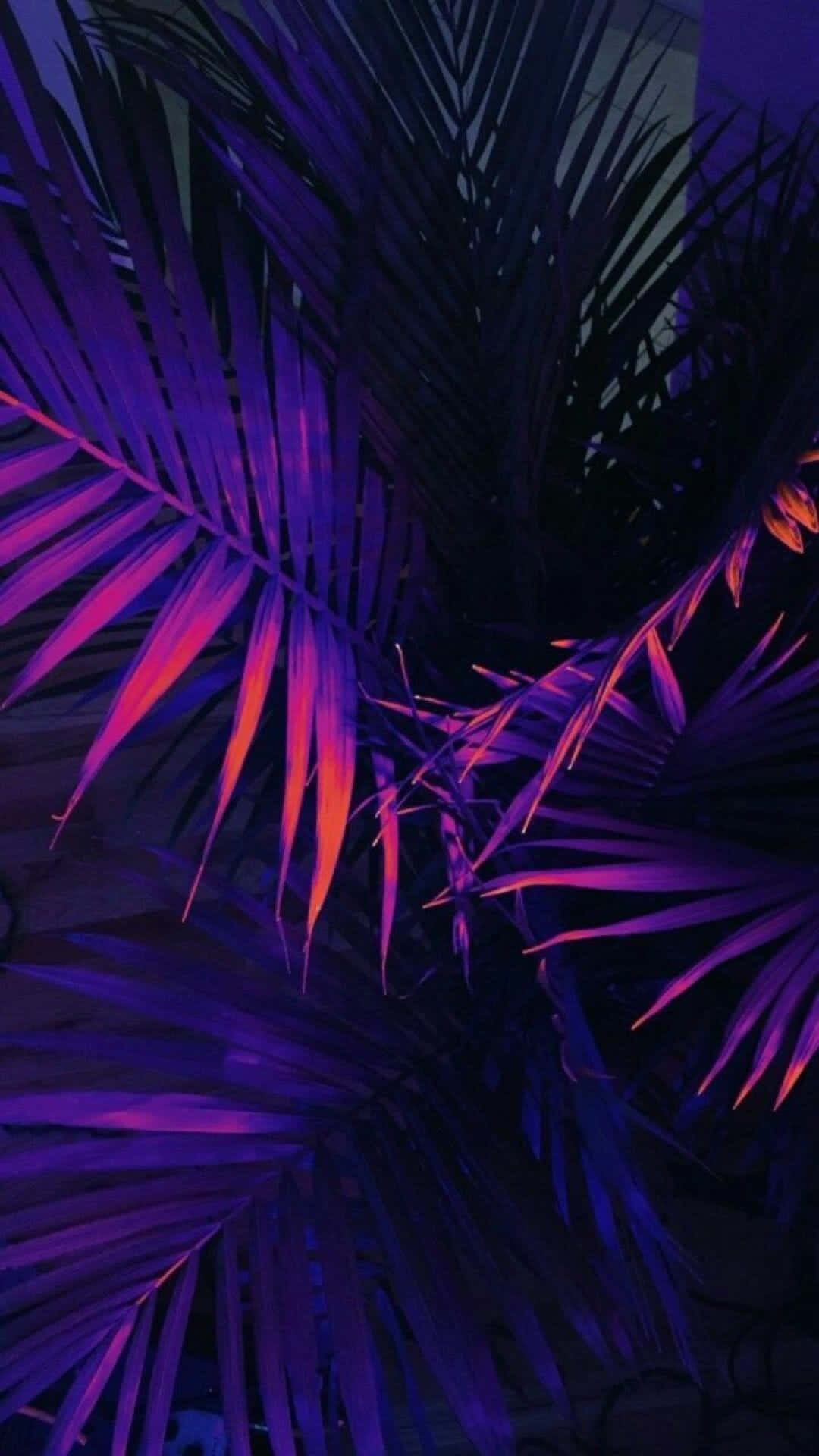 A Dope Purple And Blue Palm Wallpaper
