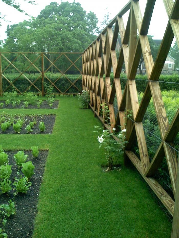 Vegetable Garden Fence Chicken Wire Home Designs Wallpaper