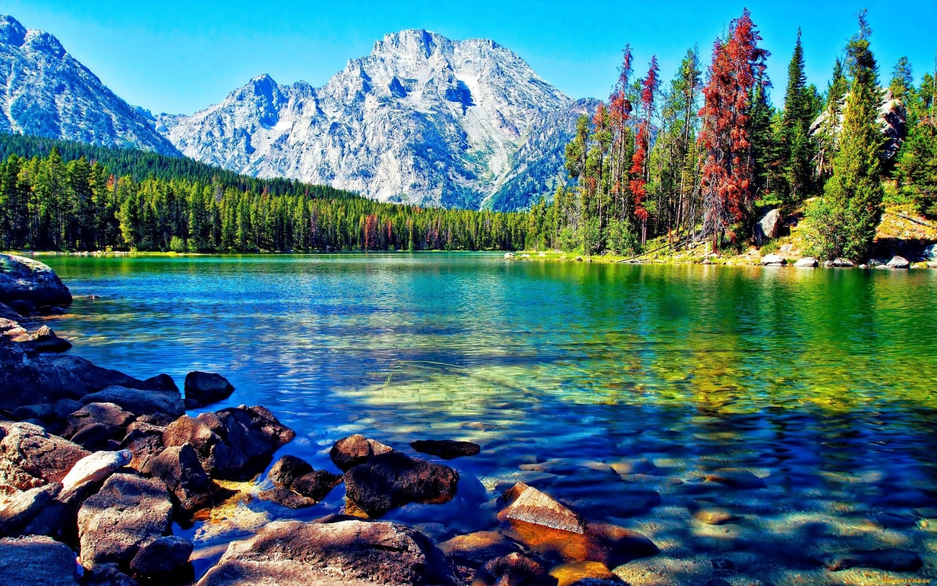 Beautiful Lake Mountain Forest Desktop Wallpaper