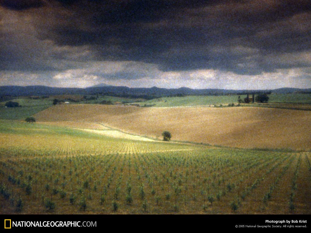 Tuscan Sun Photo Of The Day Picture Photography Wallpaper