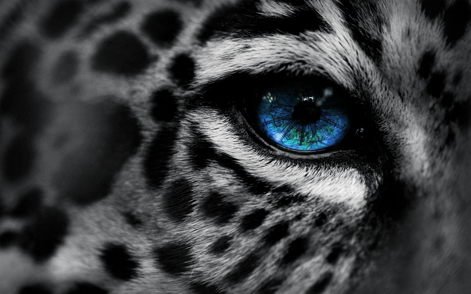 Animal Fur Wallpaper On