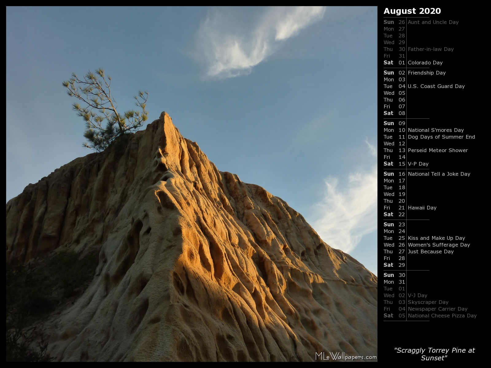 Free download Scraggly Torrey Pine at Sunset Calendar