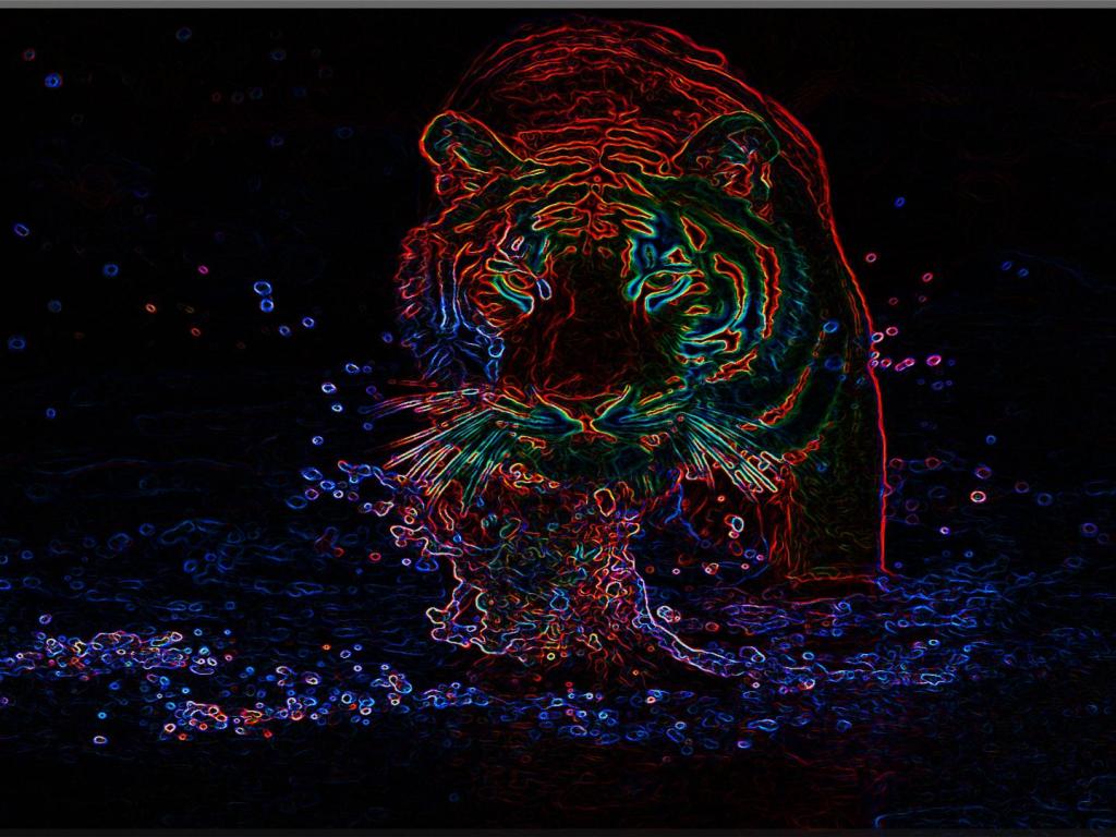 Neon Tiger Wallpaper HD