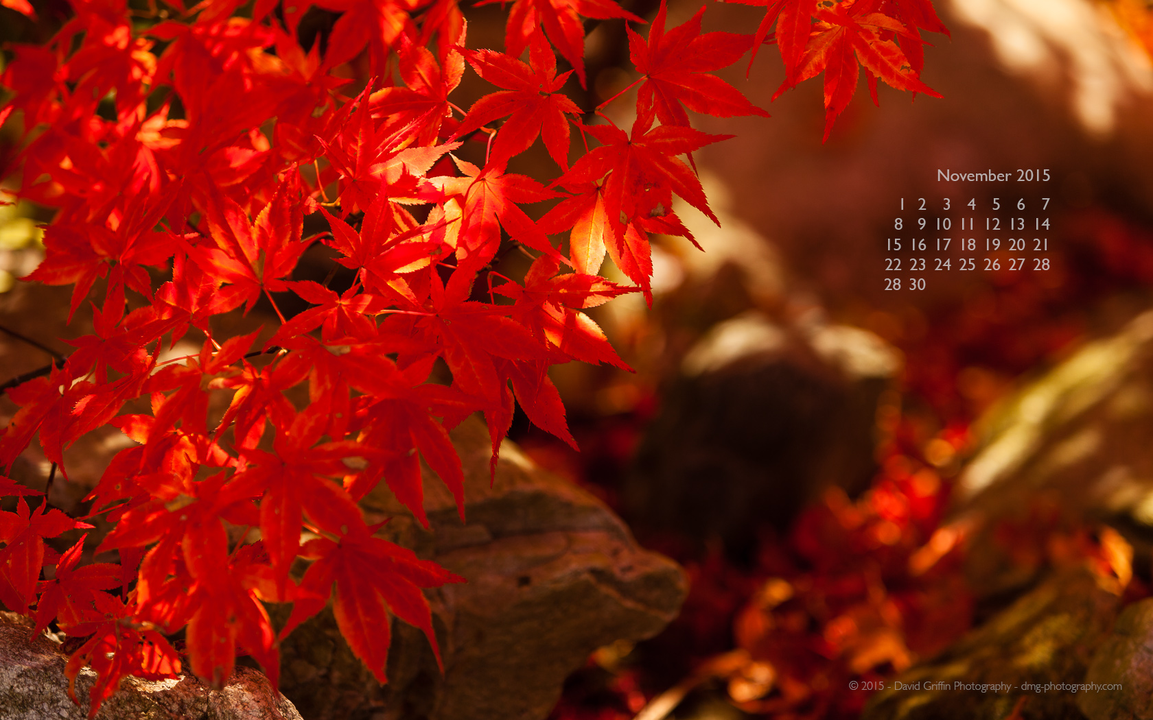 November Wallpaper David Griffin Photography