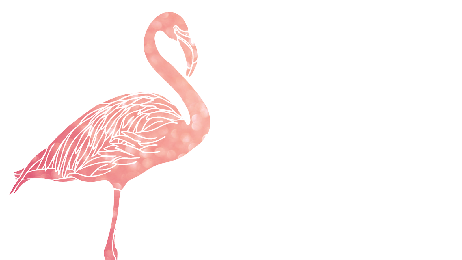 Oh So Lovely Pink Flamingo Desktop Wallpaper