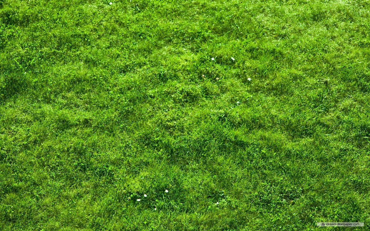 Wallpaper   Free Nature wallpaper   Grass Football Pitches wallpaper